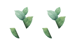 test73.tsrgap.in